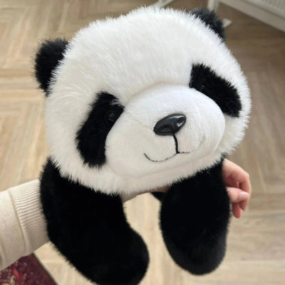 Pookie el Panda │ EDICIÓN LIMITADA PREMIUM