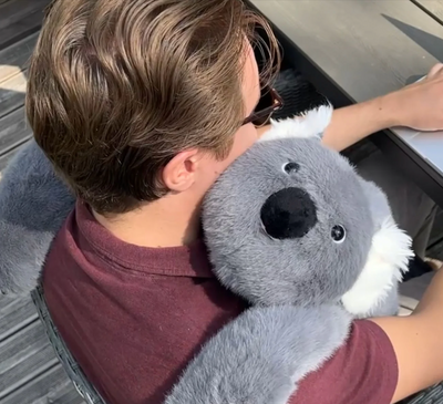 Koko el Koala │ EDICIÓN LIMITADA PREMIUM