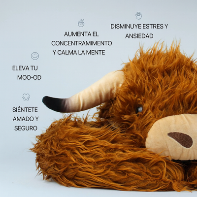 Hallie el Highland │ EDICIÓN LIMITADA PREMIUM